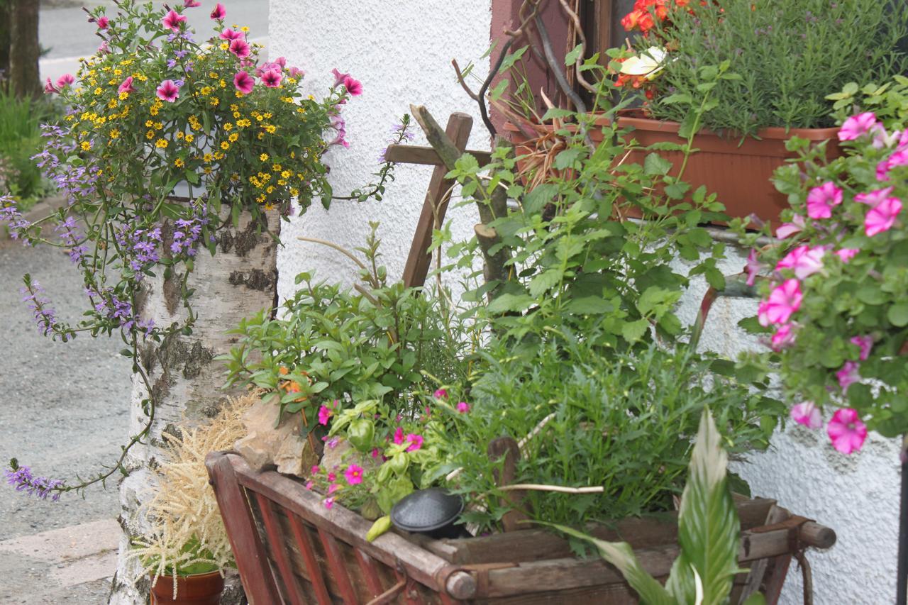 Pension Und Restaurant Die Burg Ehrenfriedersdorf Εξωτερικό φωτογραφία